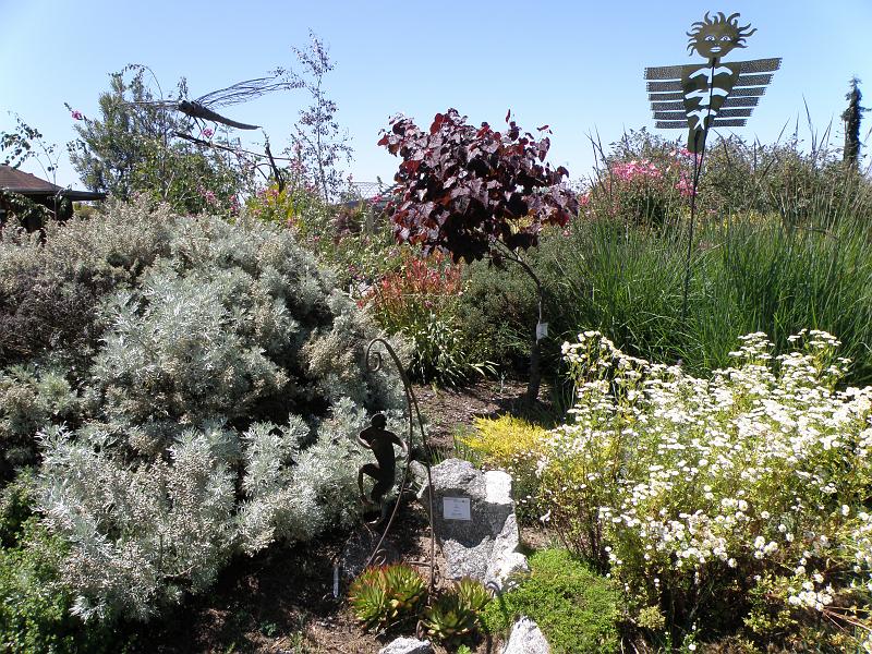 P6282158 Sierra Azul.jpg